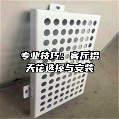 专业技巧:客厅铝天花选择与安装
